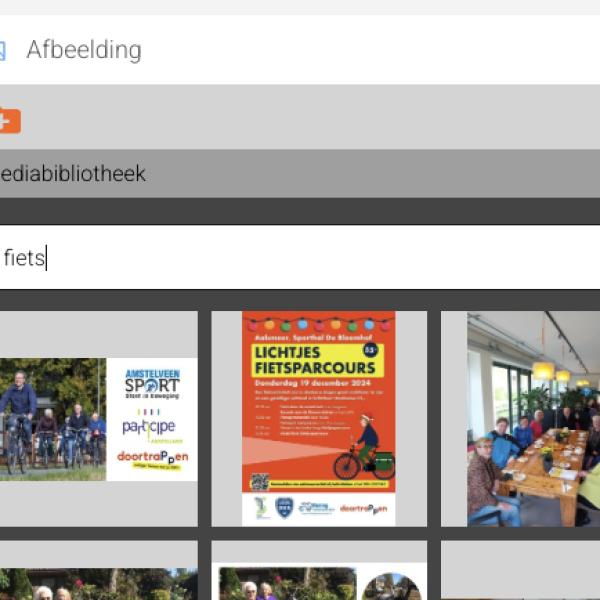 Afbeeldingen zoeken in inzite:cms